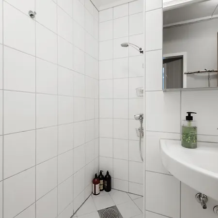 Apartment Spacious & Cozy Hideaway With Central Location